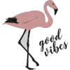 Flamingo - Texts - 