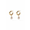 Flash Jewellery Gold Paloma Pearl Hoops - Brincos - 