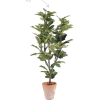 Floor Plant - Pflanzen - 