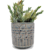 FloralVibesLLC etsy plant pot - Piante - 