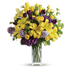 Floral bouquet - Plants - 