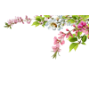 Floral overhead branches - Rastline - 