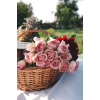 Flower Basket - Uncategorized - 