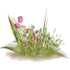 Flower Grass - Ilustracije - 