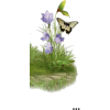 Flower Grass - Ilustracje - 