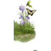 Flower Grass - Illustrazioni - 