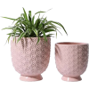 Flower Pot - Plantas - 