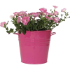 Flower Pot - Plants - 