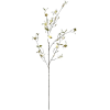 Flower Stem - Biljke - 
