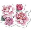 Flower Stickers - Przedmioty - 