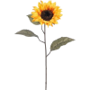 Flower/Yellow - Plants - 