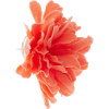 Flower - Naušnice - 