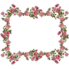 Flower - Frames - 