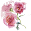 Flower - Ilustracje - 