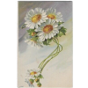 Flower - Illustrations - 