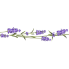 Flower - Иллюстрации - 