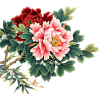 Flower - Растения - 