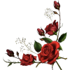 Flower - Rastline - 