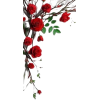 Flower - Pflanzen - 