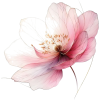 Flower - 植物 - 
