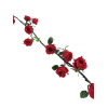 Flower - Pflanzen - 