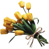 Flower - Piante - 