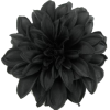 Flower - Pflanzen - 