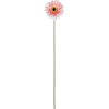 Flower - Biljke - 