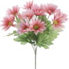 Flower - 植物 - 