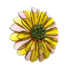 Flower - Uncategorized - 