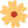 Flower - Uncategorized - 