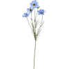 Flower blue flower - Plantas - 