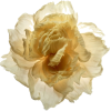 Flower me brooch - Resto - 