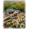 Flowers Grass Book - Natural - 