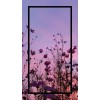Flowers, Sunset, and a Frame Background - Sfondo - 