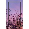 Flowers, Sunset, and a Frame Background - Fondo - 