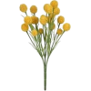 Flowers Yellow - Pflanzen - 
