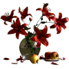Flowers Plants Red - Rastline - 