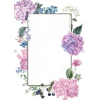 Flowers - Frames - 