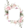 Flowers - Frames - 