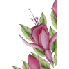 Flowers - Ilustrationen - 