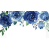 Flowers - Illustraciones - 