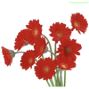 Flowers - Rascunhos - 