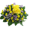Flowers Plants Yellow - Rośliny - 
