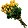 Flowers Plants Yellow - Biljke - 