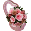 Flowers Plants Pink - Rośliny - 