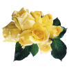Flowers Plants Yellow - Piante - 