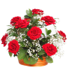 Flowers Plants Red - Rośliny - 
