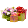 Flowers Plants Colorful - Rastline - 