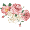 Flowers - 植物 - 